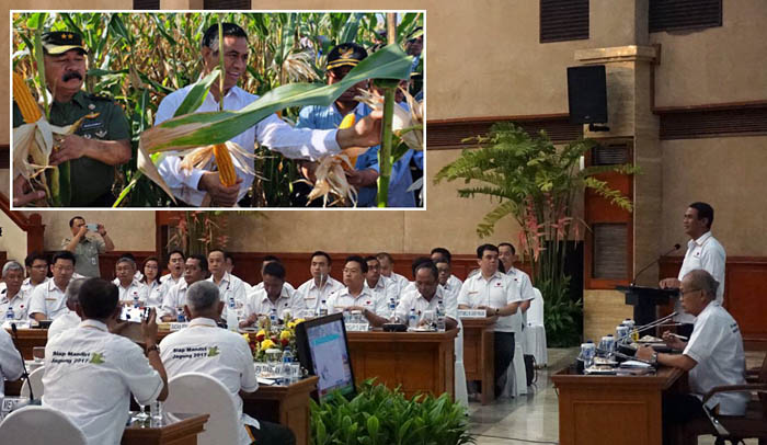 Industri Pakan Ternak Siap Serap 3,5 Juta Ton Jagung Pipilan Kering di 29 Provinsi